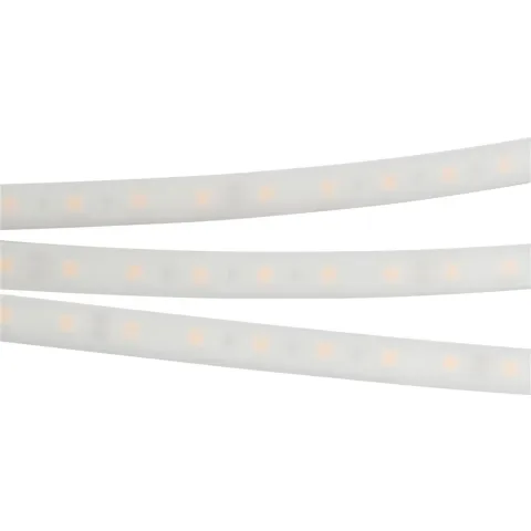 Светодиодная лента Arlight RTW 2-5000PW 12V White6000 2x (5060, 300 LED, LUX)