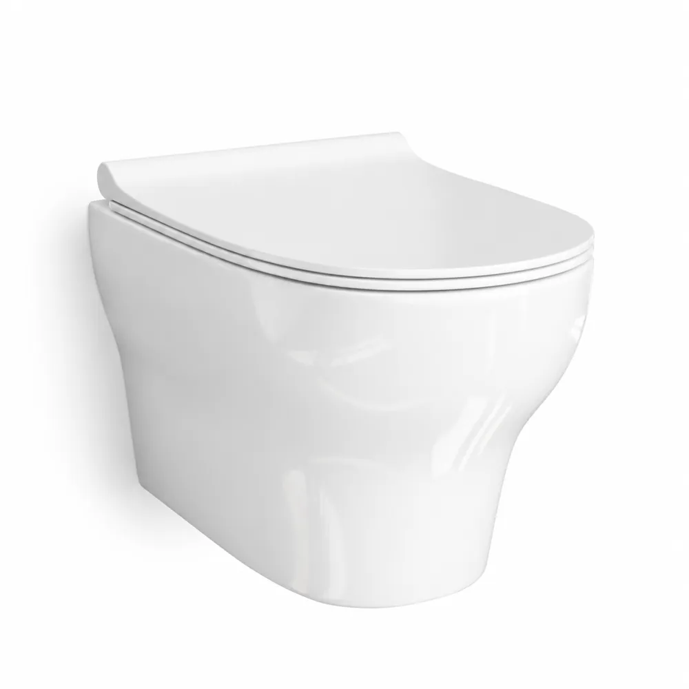 Подвесной унитаз с крышкой WasserKRAFT Berkel