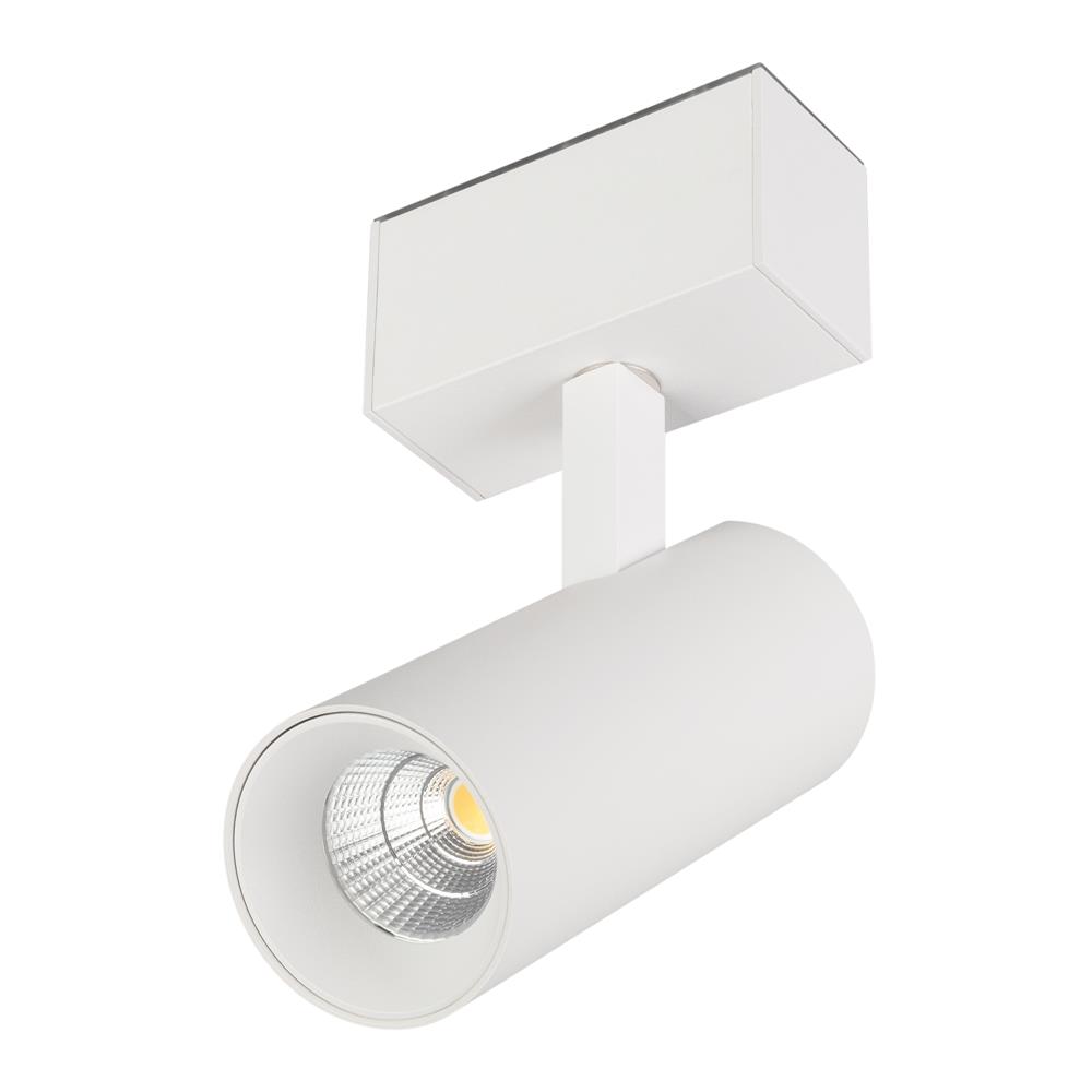 Светильник Arlight MAG-SPOT-45-R85-12W Day4000 (WH, 36 deg, 24V)