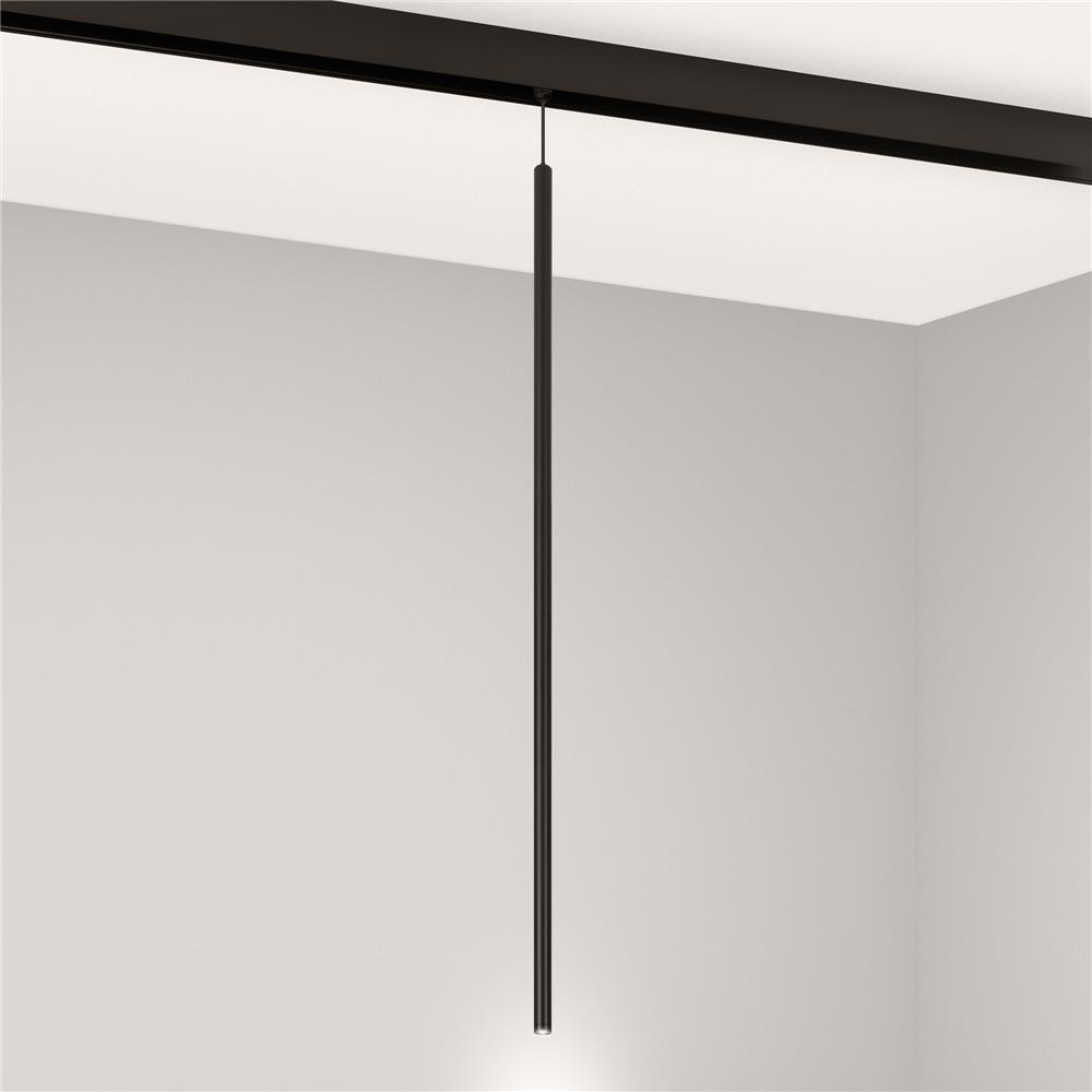 Светильник Arlight MAG-ORIENT-SPOT-HANG-L600-R12-2W Day4000 (BK, 20 deg, 48V)