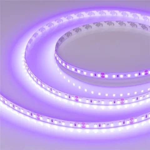 Светодиодная лента Arlight RT-A120-8mm 24V Violet (9.6 W/m, IP20, 2835, 5m)