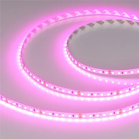 Светодиодная лента Arlight RT-A120-8mm 24V Magenta (9.6 W/m, IP20, 2835, 5m)