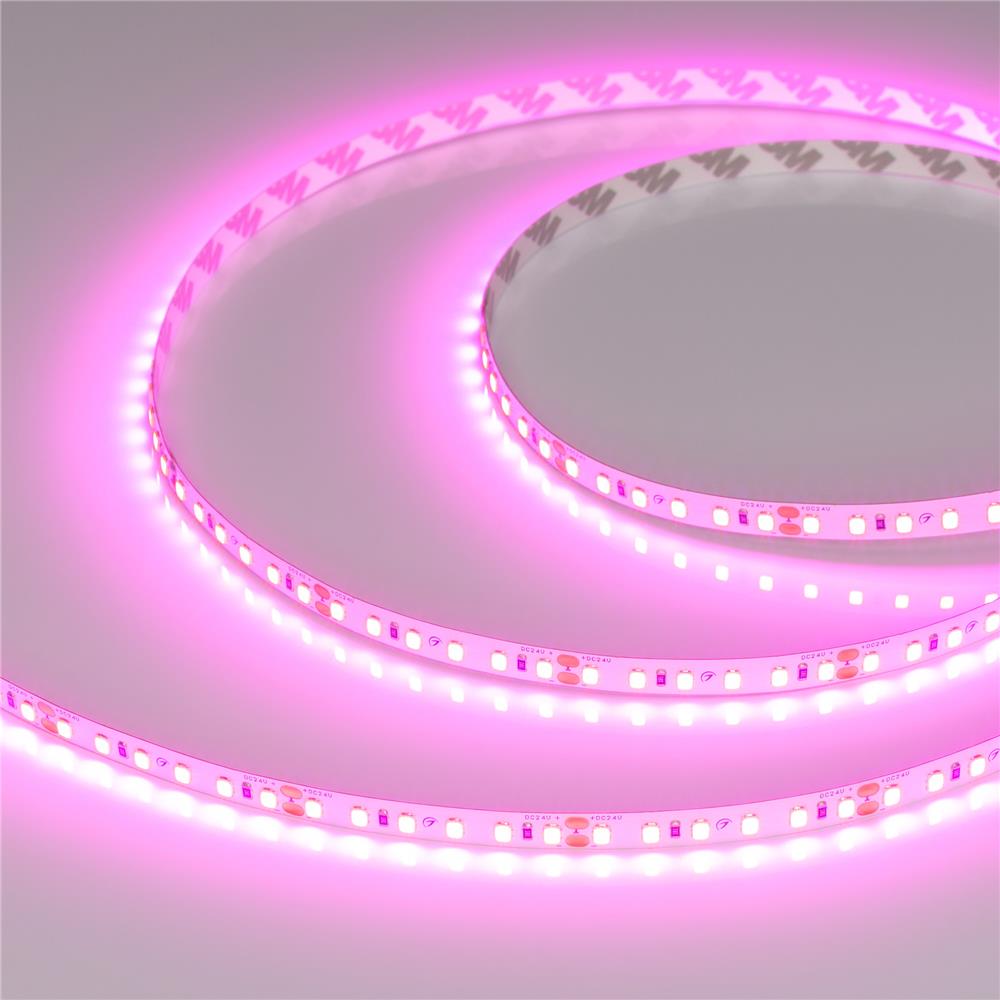 Светодиодная лента Arlight RT-A120-8mm 24V Magenta (9.6 W/m, IP20, 2835, 5m)