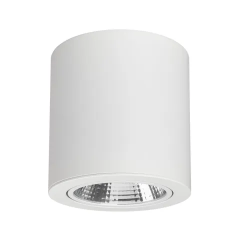 Светильник Arlight SP-FOCUS-R140-30W Day White