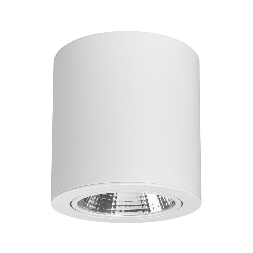 Светильник Arlight SP-FOCUS-R140-30W Day White