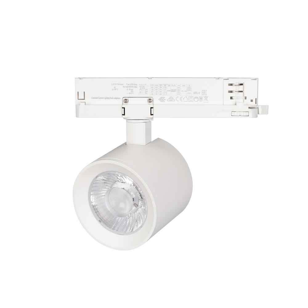 Светильник Arlight LGD-NIKA-4TR-R100-20W Day4000 (WH, 24 deg, 230V)