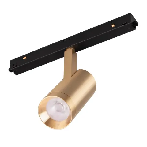 Светильник Arlight MAG-ORIENT-SPOT-R45-12W Day4000 (GD, 24 deg, 48V)