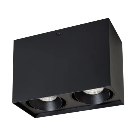 Светильник Arlight SP-CUBUS-S100x200BK-2x11W Day White 40deg