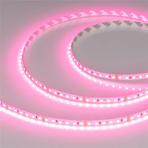 Светодиодная лента Arlight RT-A120-8mm 24V Pink (9.6 W/m, IP20, 2835, 5m)