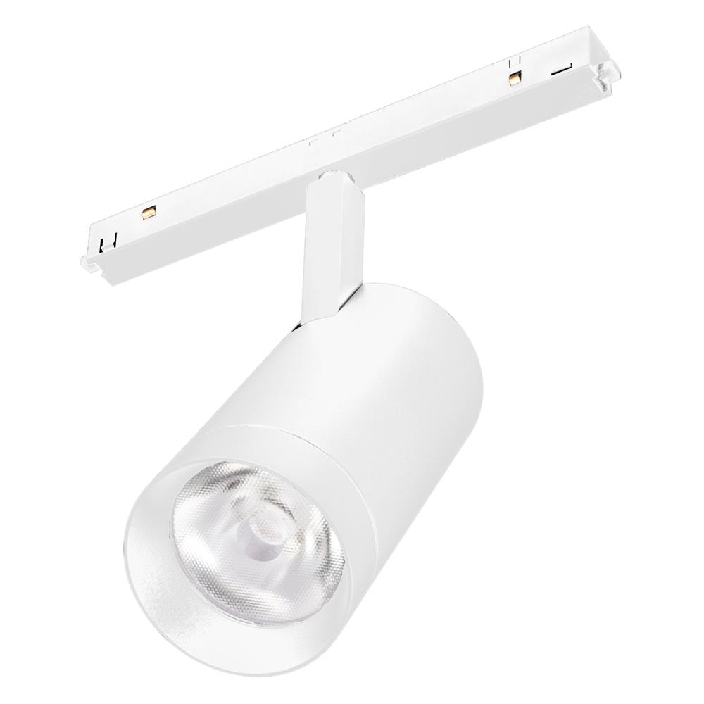 Светильник Arlight MAG-ORIENT-SPOT-R65-20W Day4000 (WH, 24 deg, 48V)