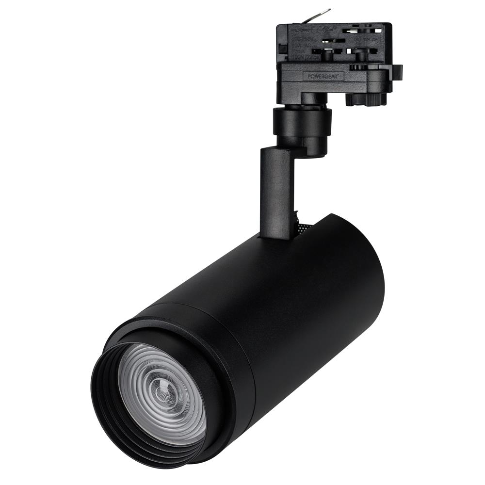 Светильник Arlight LGD-ZEUS-4TR-R100-30W Warm SP2900-Meat (BK, 20-60 deg, 230V)