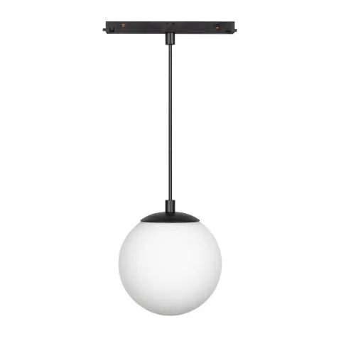 Светильник Arlight MAG-ORIENT-SFERO-HANG-R150-10W Day4000 (BK, 300 deg, 48V)